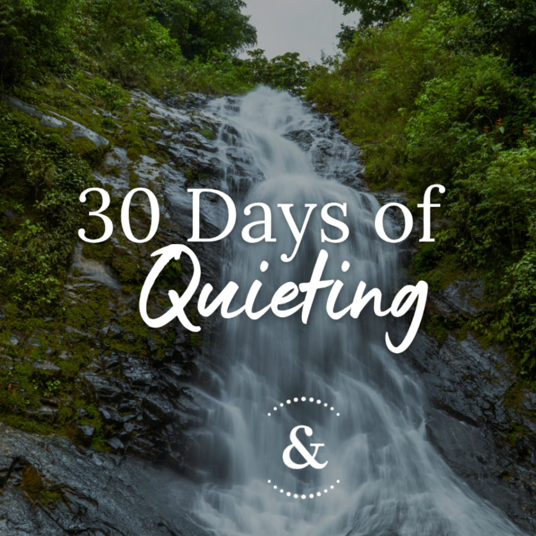 30 Days of Quiet: A Journey towards Resilience and Security